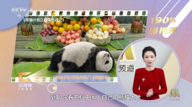 孤独的她
